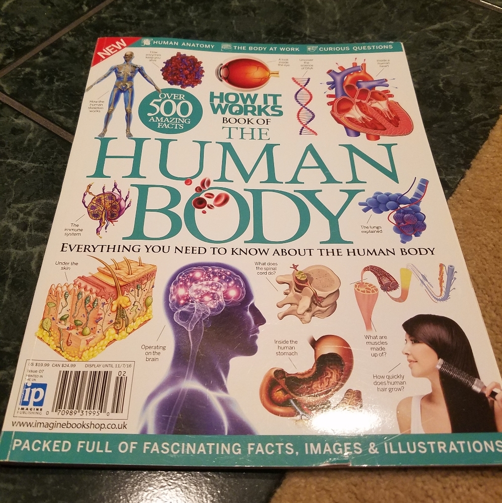 How it Works Book of The Human Body Paperback